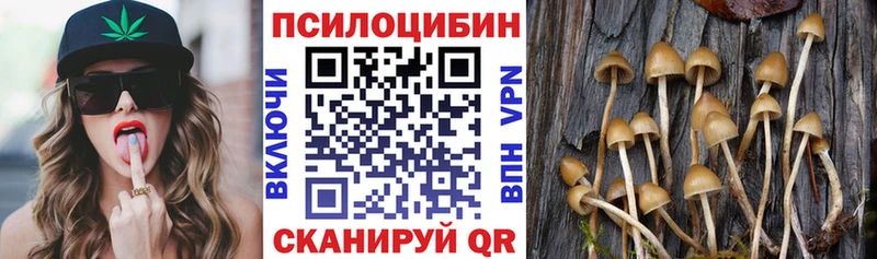 Галлюциногенные грибы Psilocybine cubensis  Бутурлиновка 