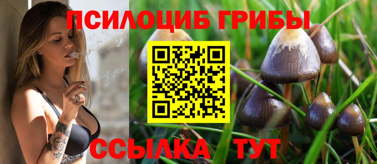 Бутурлиновка  Галлюциногенные грибы MAGIC MUSHROOMS  Псилоцибиновые грибы ЛСД  Вход с VPN 